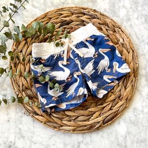 BabyGap Boys Pelican Bird Swim Trunks